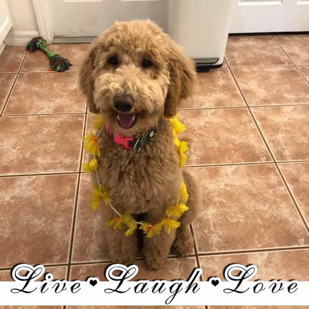 Meet your Posher, Kathy